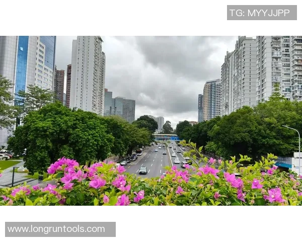 今天勇士对阵热火精彩直播全程回顾与赛后分析尽在这里